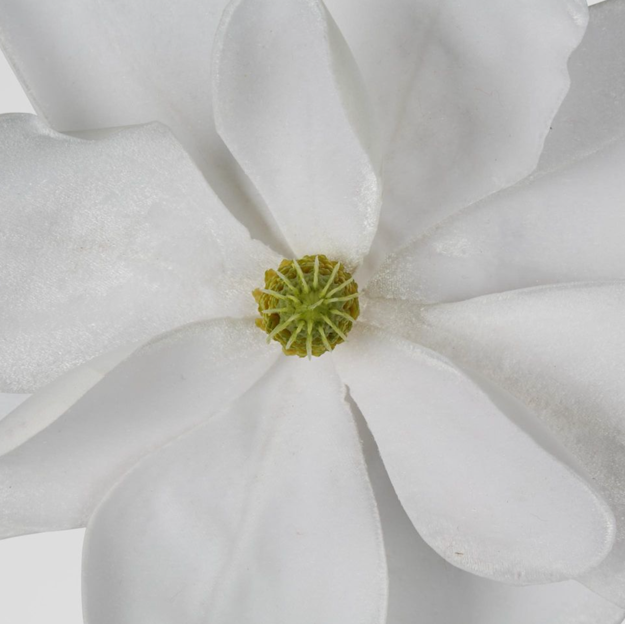 Grandiflora Velvet Magnolia Flower - White Clip on