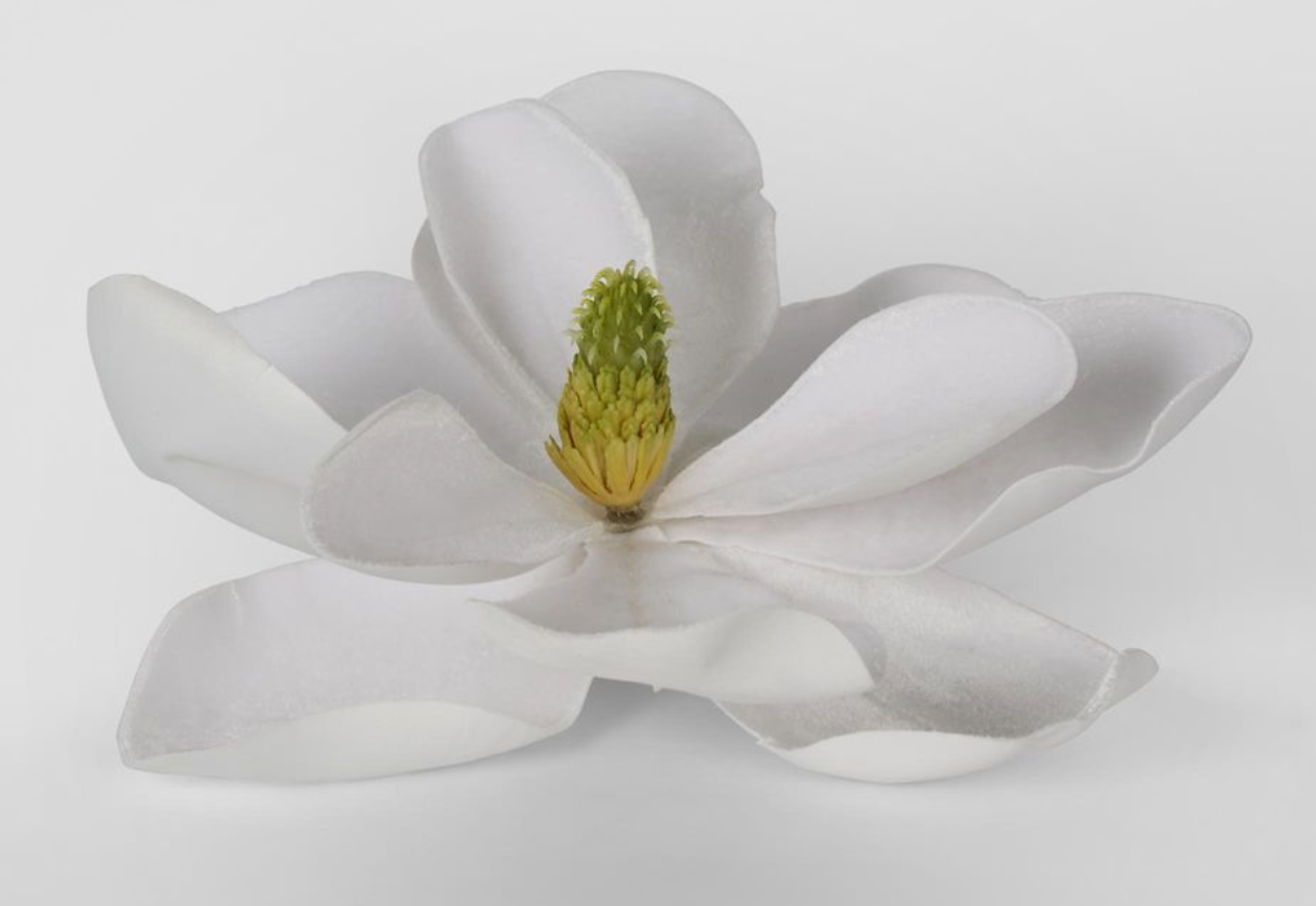 Grandiflora Velvet Magnolia Flower - White Clip on