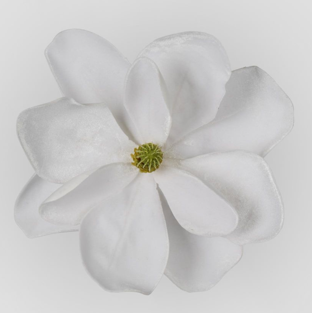 Grandiflora Velvet Magnolia Flower - White Clip on